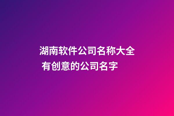 湖南软件公司名称大全 有创意的公司名字-第1张-公司起名-玄机派